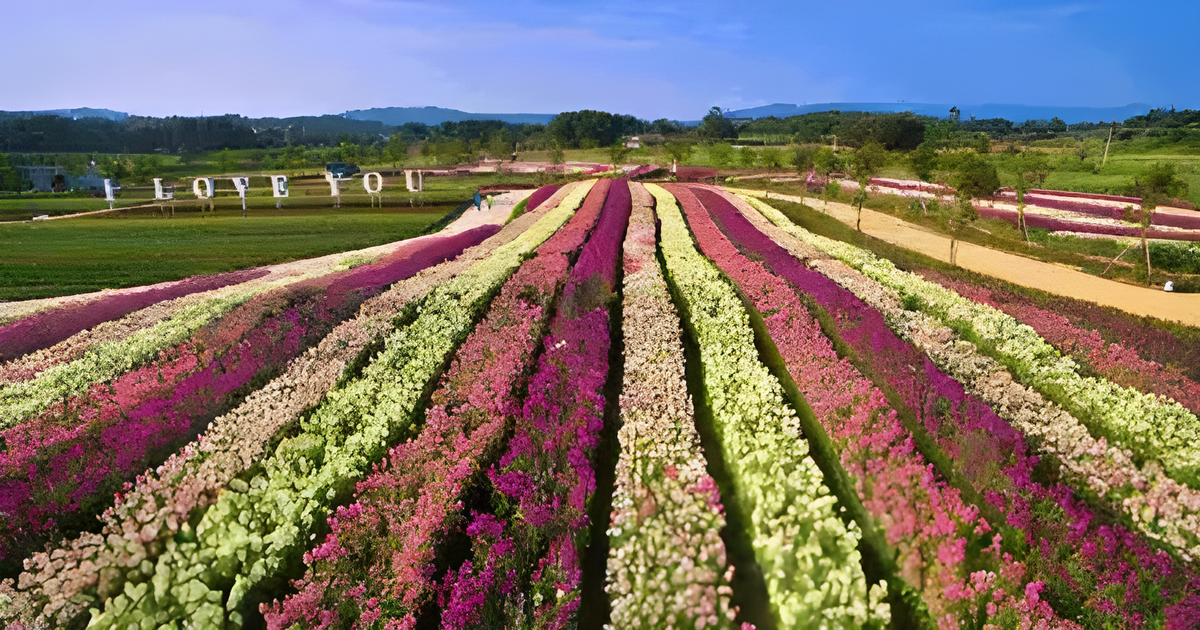 Flowers Knowledge Quiz 30 of men gets every question on this