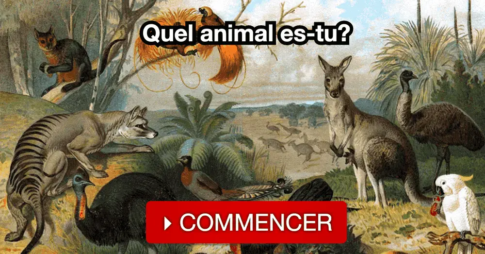 Quel animal qui pépie ?