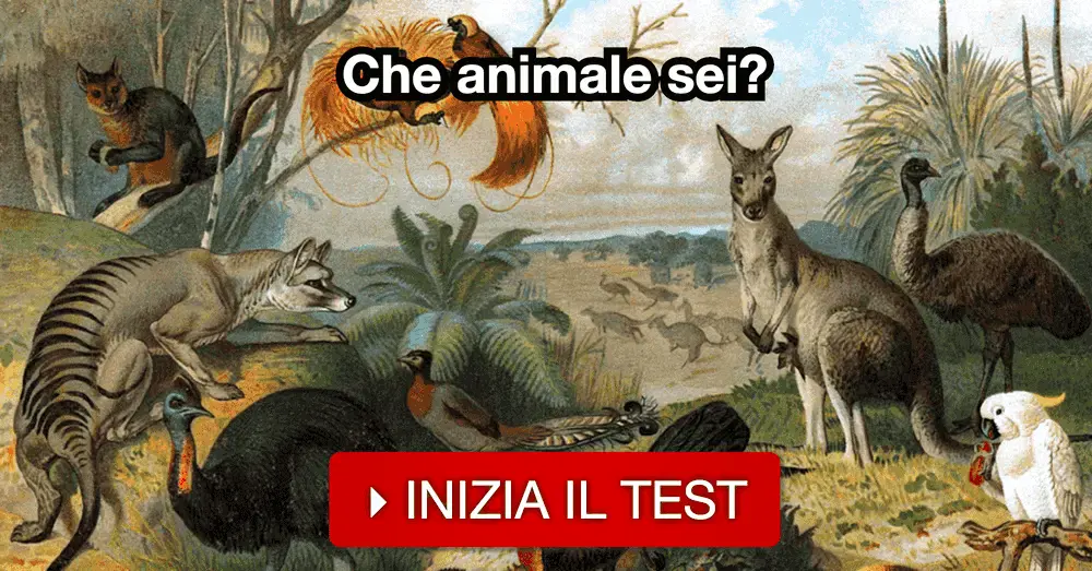 Che animale sei?